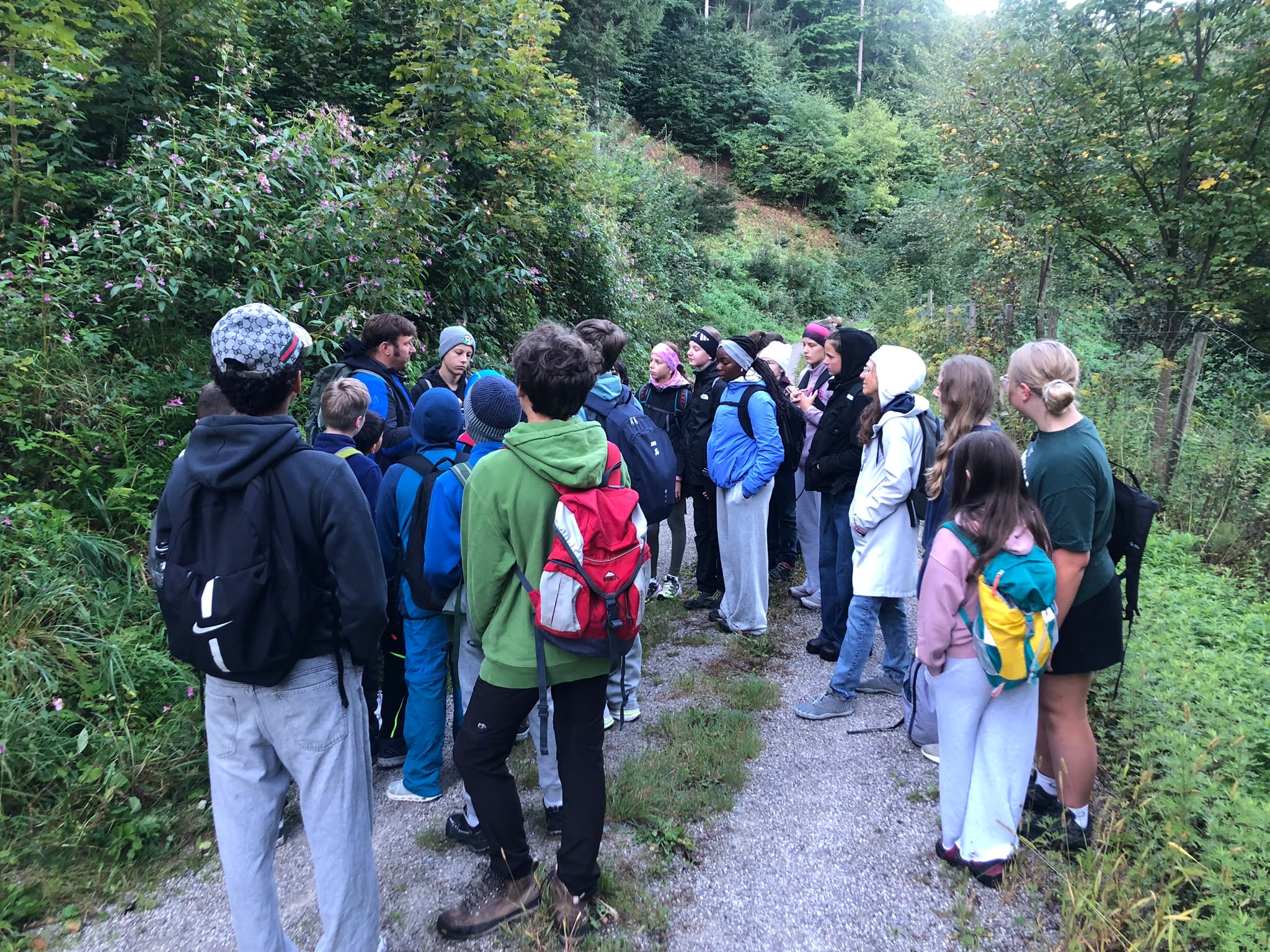 Schulklasse mit Rucksäcken im Wald bei Mariazell